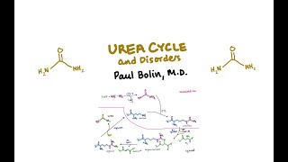 Disorders of the Urea Cycle  CRASH Medical Review Series [upl. by Aurelia]