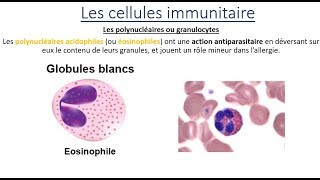 Partie 1 Immunologie Le système immunitaire بالدارجة [upl. by Einahpehs]