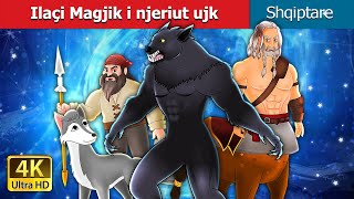 Ilaçi Magjik i njeriut ujk  Werewolfs Magic Potion in Albanian  AlbanianFairyTales [upl. by Austin]