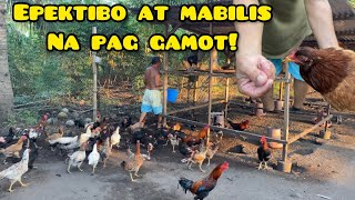 PINAKAMABILIS NA PAG GAMOT SA SIPON NG MANOK [upl. by Platt]