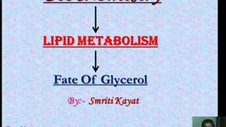 Fate of Glycerol  1 [upl. by Courtnay309]