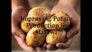 Improving Potato Production in Malawi [upl. by Ibrab]