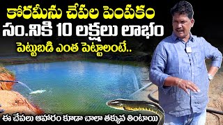 Fish Farming Business in Telugu  Koramenu Fish Farming with HIGH PROFITS  NewsQube [upl. by Buffy828]