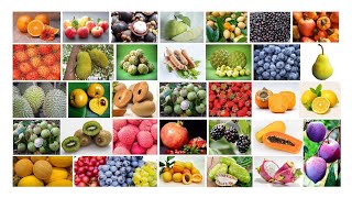 100 Names of Fruits in English  Fruits Name English Learning  Popular Fruits of the World [upl. by Rebmik]