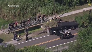 13foot alligator captured in connection to FL death investigation [upl. by Einahpit]