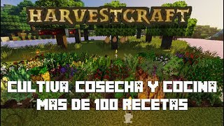 Como conseguir PAPAS y plantarlas en MINECRAFT  Videojuegos World [upl. by Aracahs196]