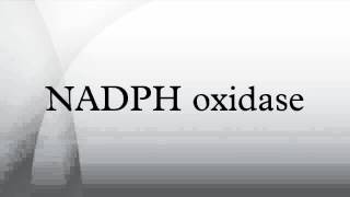 NADPH oxidase [upl. by Ahsilla772]