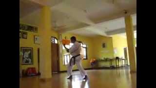 Naihanchi Nidan  Shorin Ryu KYUDOKAN Karatedo [upl. by Dammahom]