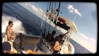 Gulf Mahi and Grouper on Key West 239FS [upl. by Eedia470]