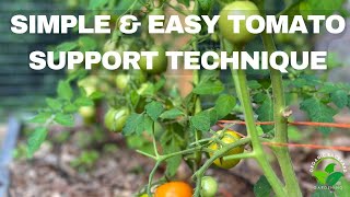 Mastering the Florida Weave The Ultimate Easy Tomato Plant Support Technique  Garden Guide [upl. by Reyem]