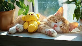 Relaxing Cat Music 🐈 Anxiety relief music for cats Soothe your cat with our relaxation music [upl. by Assej608]