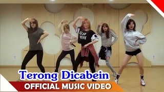 SNSD  Terong Dicabein  Versi Dance Korea [upl. by Shanks]