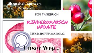 ICSI Tagebuch Ultraschall Kinderwunsch Update Vlog Teil4 künstliche Befruchtung Unser Weg diary KiWu [upl. by Malvino976]