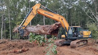 Stump Digging Is Almost Done [upl. by Anifad]