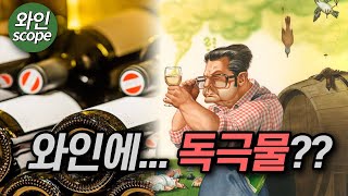 이것을 넣으면 와인의 맛과 향이 엄청나게 좋아집니다 그런데 문제는 [upl. by Claudell]