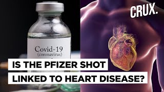 Is Side Effect of Pfizer COVID19 Vaccine Behind Rising Cases of Myocarditis in Israel [upl. by Rumpf]