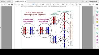 Brassage intrachromosomique et interchromosomique  Concours de médecine Maroc [upl. by Ernaline]