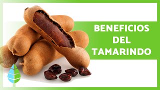 PROPIEDADES y BENEFICIOS del TAMARINDO 🥜✅ Para qué SIRVE Cómo Tomarlo y Contraindicaciones [upl. by Bueschel]