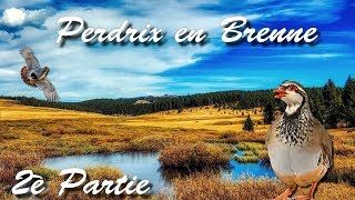 CHASSE DE LA PERDRIX EN BRENNE 2è Partie AU CALIBRE 28 Saison 20182019 [upl. by Ahsiened]