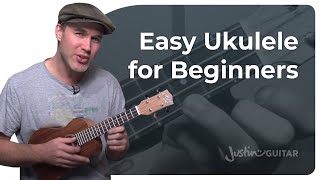 How to Play the Ukulele 4 Easy Chords amp Many Songs [upl. by Lindahl]