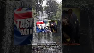 Discover Tasmania A Hidden Gem of Australia 🌏  Travel Guide Teaser [upl. by Gnauq982]