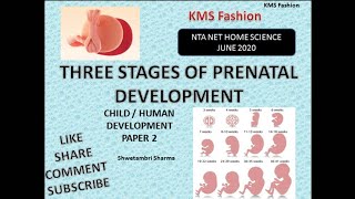 Prenatal development stages by Shwetambri Sharma [upl. by Nednil]