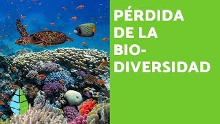 PÉRDIDA de la BIODIVERSIDAD CAUSAS y CONSECUENCIAS [upl. by Nwad]