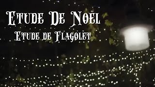 Etude De Noël Etude de Flаgolet ALadygin classical guitar [upl. by Adnwahsal766]