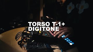 THATSTREAL  TORSO T1  DIGITONE GENERATE [upl. by Emmit]