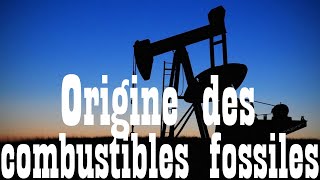 Capsule quotOrigine des combustibles fossilesquot [upl. by Ydna818]