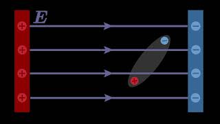 Dipole in an Electric Field [upl. by Bridges]