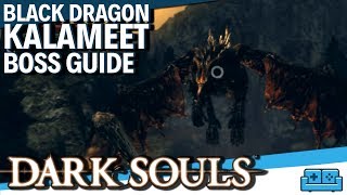 DARK SOULS  BLACK DRAGON KALAMEET BOSS GUIDE [upl. by Ioved]