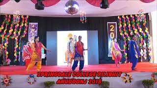 Bhangra in Anugoonj 2018 Springdale College Pilibhit [upl. by Aramoix]