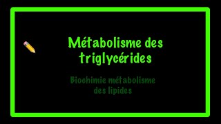 Métabolisme des triglycérides [upl. by Lehmann]