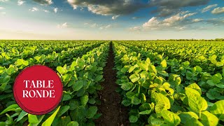 PAC  quelles perspectives pour la politique agricole de l’Europe   Table ronde du 11 octobre 2023 [upl. by Morel]