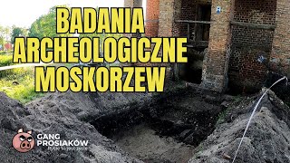 Gang Prosiaków  Badania Archeologiczne z archeologwszpilkach  Moskorzew TopDigin [upl. by Acinomaj]