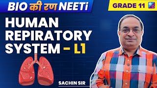 Breathing amp Exchange of Gases Class 11 Biology  Human Respiratory System  NEET 2023  Sachin Sir [upl. by Nad]