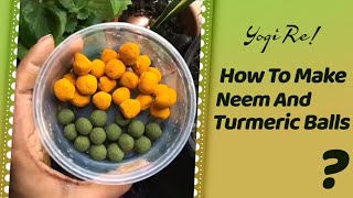 How to make Neem and Turmeric balls quickly [upl. by Aticilef106]