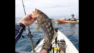 Catch me if you can Kayak fishing out of Southern California Redondo Beach [upl. by Elag336]