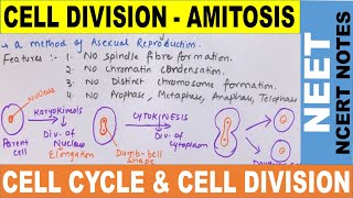 Amitosis Cell Division in Hindi  Direct Cell Division  Cell Cycle amp Cell Division  NEET 2020 [upl. by Okimik99]