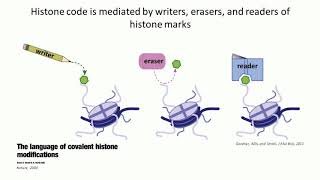 Deciphering Cancer The Intersection of Epigenetics Metabolism and Tumorigenesis [upl. by Eillek]