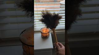 Window blinds cleaning Hack using ostrich feather duster shorts cleaninghacks [upl. by Adnauqaj]