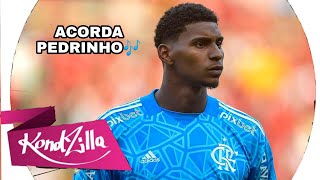 Hugo Souza Flamengo ACORDA PEDRINHO FUNK REMIX by SrNescau MÚSICA FUNK [upl. by Nerual]