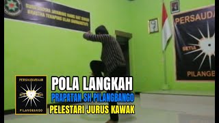 GERAK POLA LANGKAH PRAPATAN SETIA HATI PILANGBANGO [upl. by Finbur]