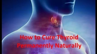 The Thyroid Secret documentary – Live now Episode 9 The Thyroid Success Stories link below [upl. by Eirlav]