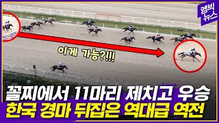 마지막 300m 남기고 꼴찌로 달리던 말이 갑자기 [upl. by Rosalie]