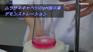 ムラサキキャベツのpH指示薬 デモンストレーション Red Cabbage pH Indicator [upl. by Ayikat494]