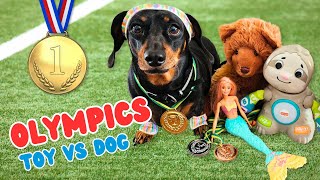 Mini Olympics Chippy Dog Versus Toys Episode 4  Kids learn sportsmanship amp bravery [upl. by Ytirehc]