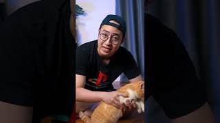 MEDY RENALDY NGEREVIEW MAINAN KUCING GARFIELD [upl. by Arymahs]