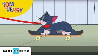 Tom și Jerry  La plimbare  Cartoonito [upl. by Htebarual]